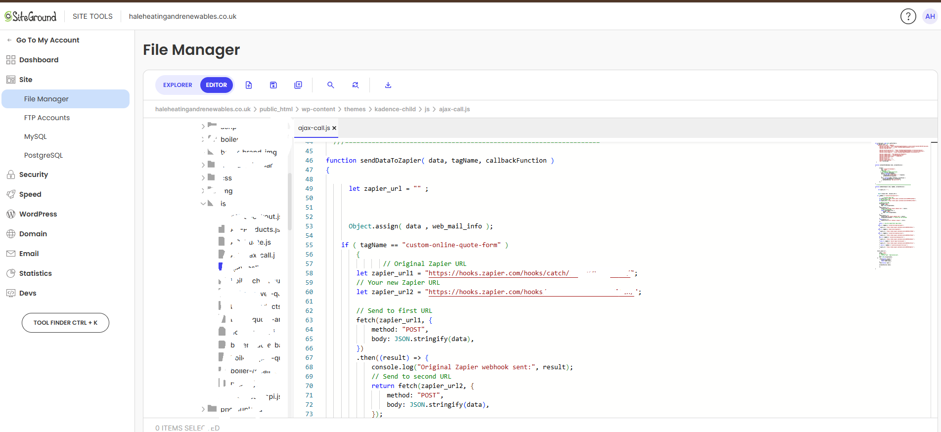 Site Tools → JS Code Showing Zapier Webhook URLs